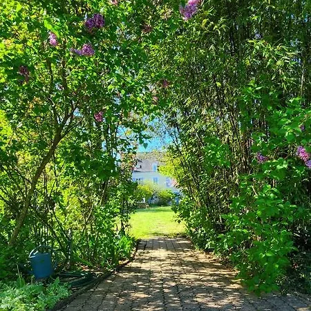 Le Petit Lavoir - Maison Cosy à
